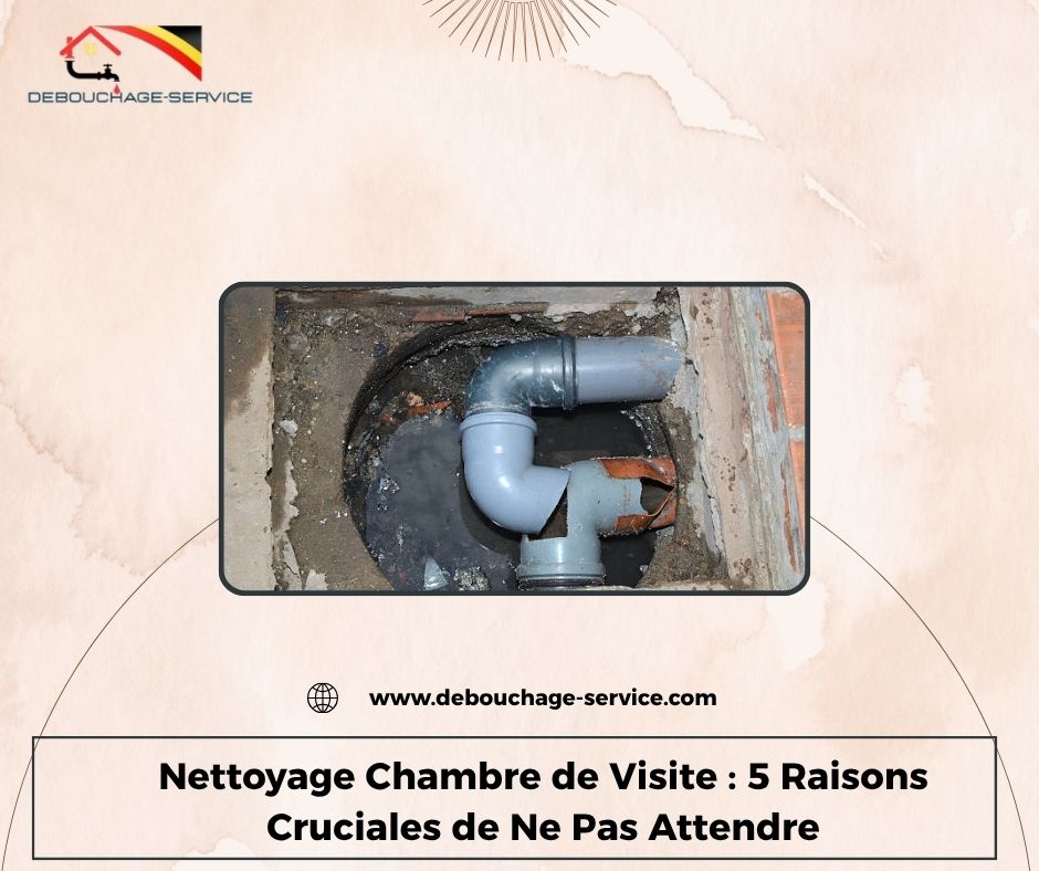 Nettoyage Chambre de Visite